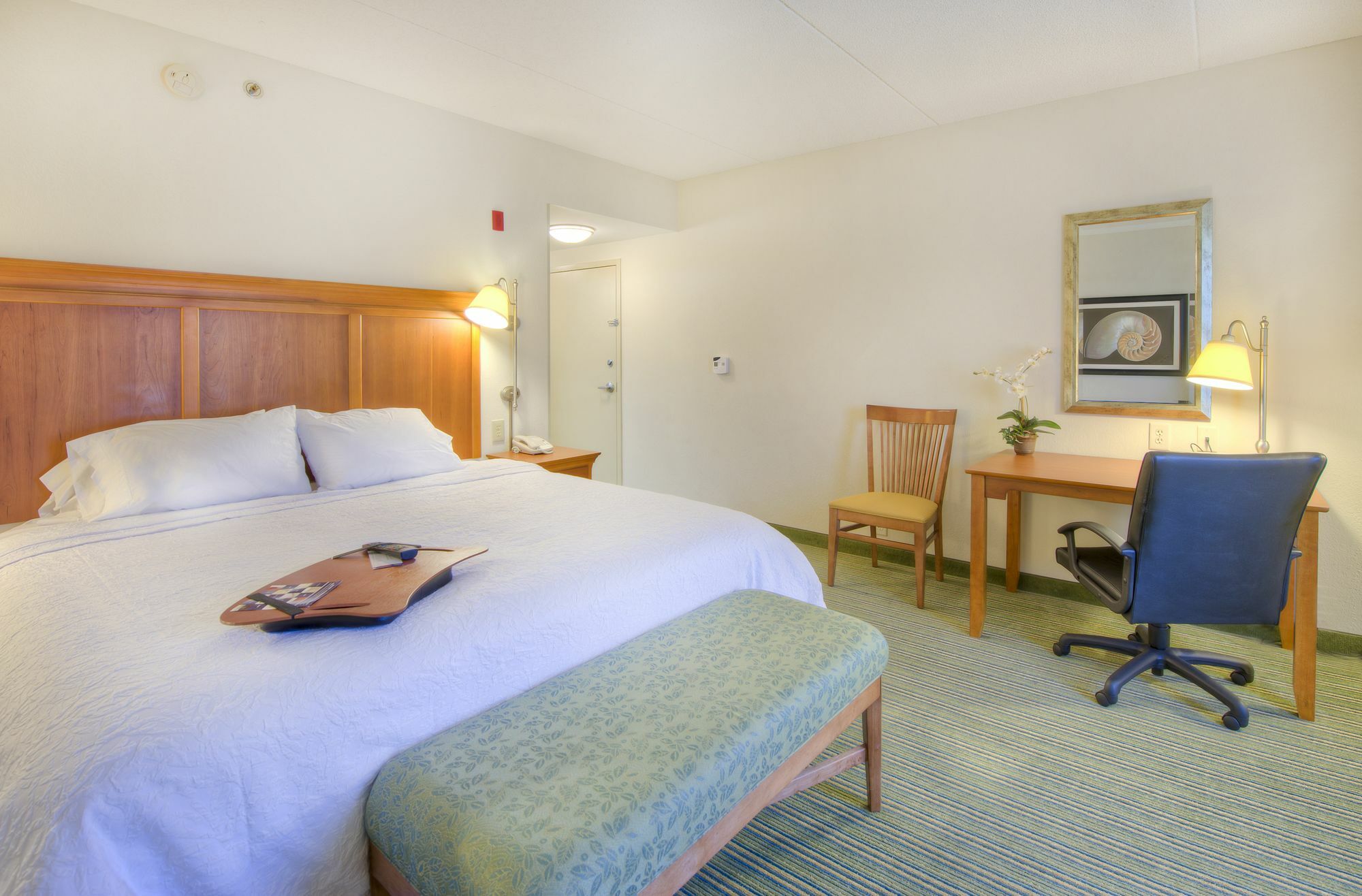 Hampton Inn Wilmington University Area Екстер'єр фото